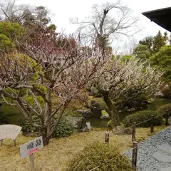 城南離宮の庭