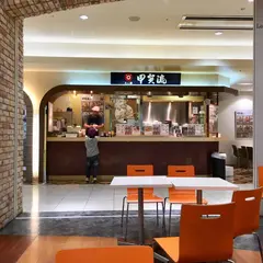 甲賀流