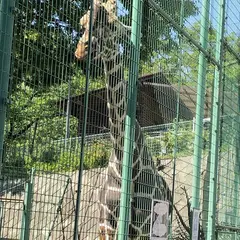 桐生が岡動物園