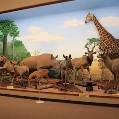 滋賀サファリ博物館