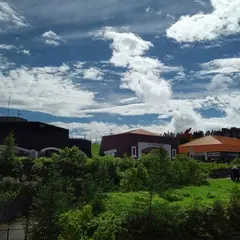 上田