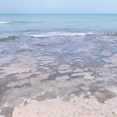 なかた荘