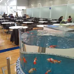 シーウインド