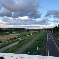 宮内歩道橋