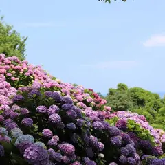 桃源郷岬