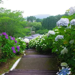 山之口あじさい公園