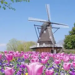 ふなばしアンデルセン公園