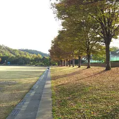 大磯運動公園