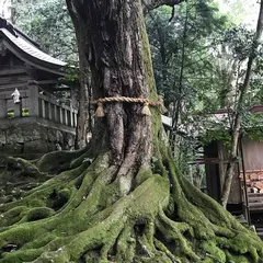 赤猪岩神社