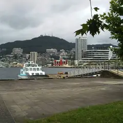 大波止