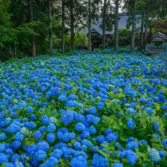 雲昌寺