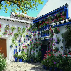 Cordoba（コルドバ）