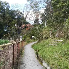 山の辺の道