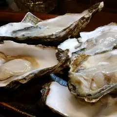 喰い飲み屋 田、ぬき村 くいのみや たぬきむら