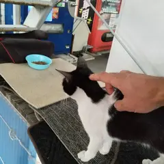 スコール洗車場