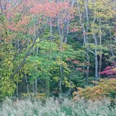木地山高原公衆トイレ（旧 木地山高原キャンプ場）