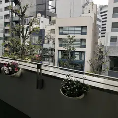 アルビダホテル青山