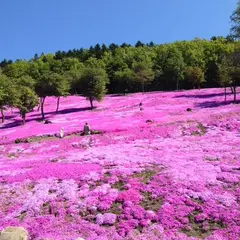 芝ざくら滝上公園