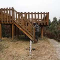 仙ノ山展望台