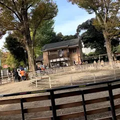 渋谷区立代々木ポニー公園