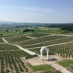日の出ラベンダー園