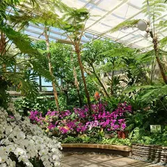 海洋博公園熱帯・亜熱帯都市緑化植物園