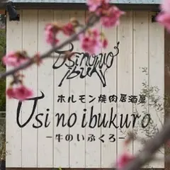 Usi no ibukuro