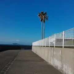 リビエラ逗子マリーナ駐車場
