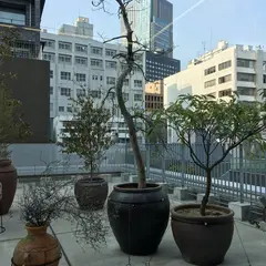 ZEN FOTO GALLERY 禪フォトギャラリー
