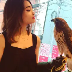 フクロウのお庭
