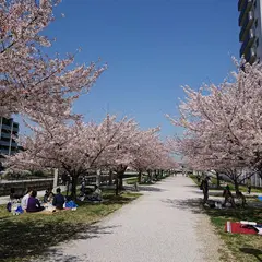 におどり公園