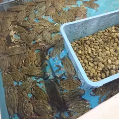 茶寮 海旬