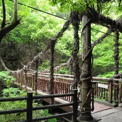 猿のかずら橋