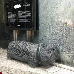 コイコリン