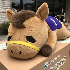 東京競馬場