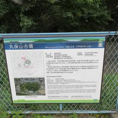 丸保山古墳(仁徳天皇陵陪塚へ号)