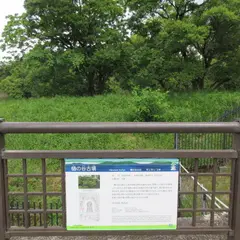 樋の谷古墳