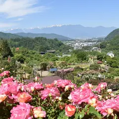 高遠しんわの丘ローズガーデン
