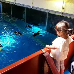 ペンギン館