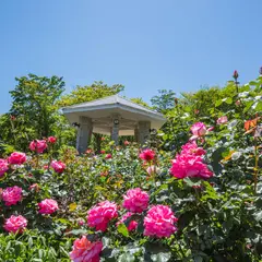 強羅花壇