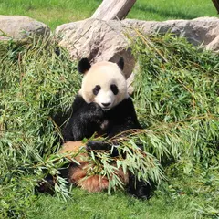 アドベンチャーワールド