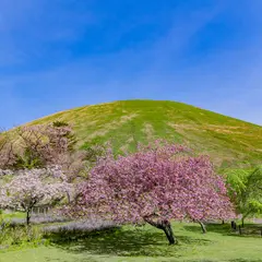 大室山