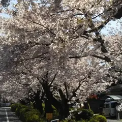 一乗寺ひいらぎ公園
