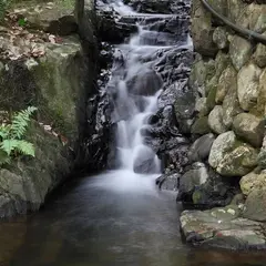 元金荒沢不動滝