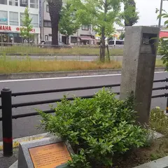 フェニックス通り