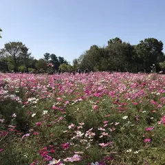 木曽三川公園