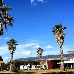 サンカフェ