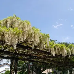 大天白神社