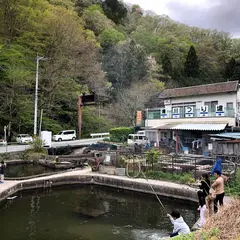 清川釣り堀