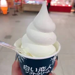 白い恋人ソフトクリーム 小樽